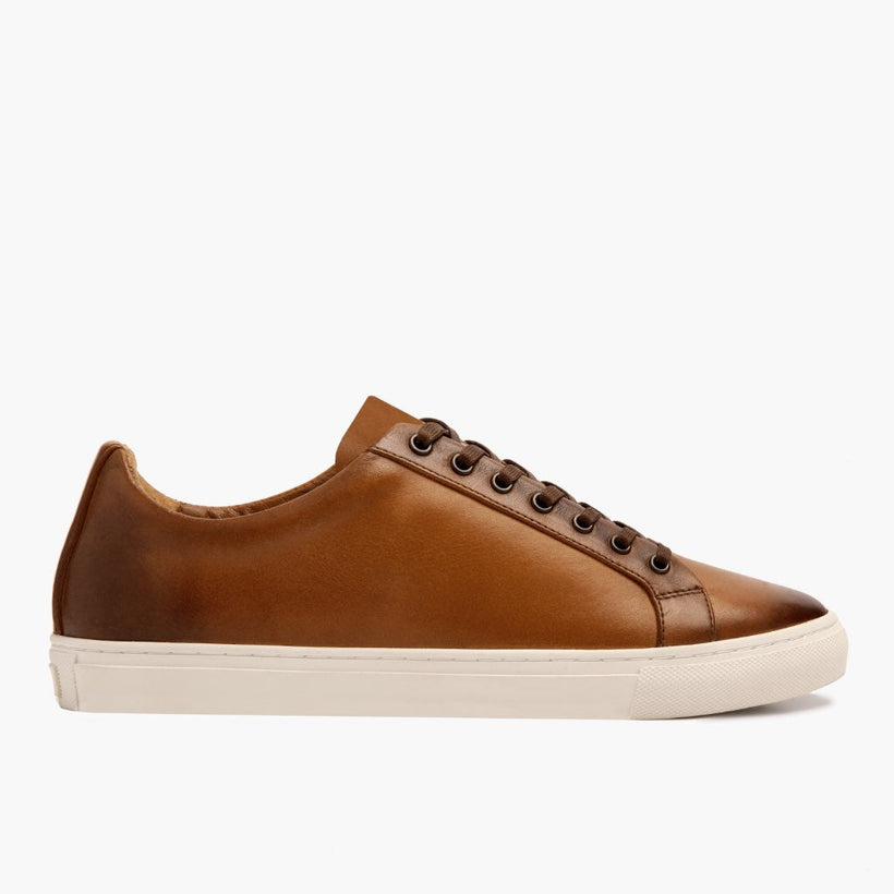 Premier Low Top Toffee Leather Sneakers pour Homme